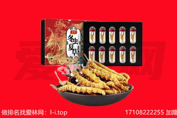 观山湖区回收虫草.jpg